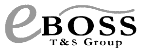 Informacje o firmie eBOSS Group.